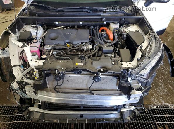 JTMRWRFV9SD308809 2025 TOYOTA RAV4 White Widok wnętrza z tyłu