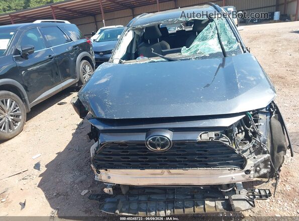 JTMW1RFV2KD019949 2019 TOYOTA RAV4 Gray Սալոնի հետևի տեսք