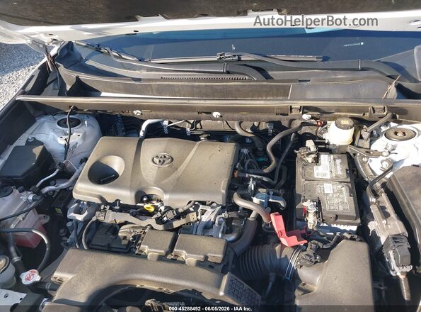 JTMW1RFV2LD052628 2020 TOYOTA RAV4 Белый Вид сзади