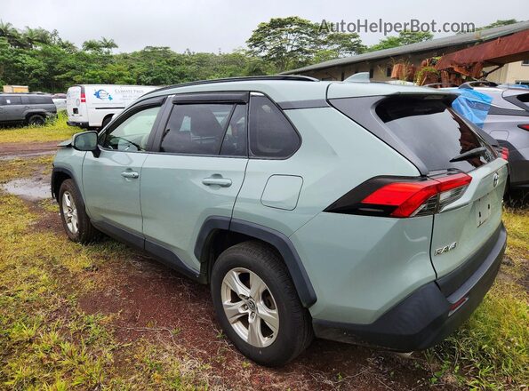 JTMW1RFV5LD059699 2020 TOYOTA RAV4 Серый Задняя левая четверть