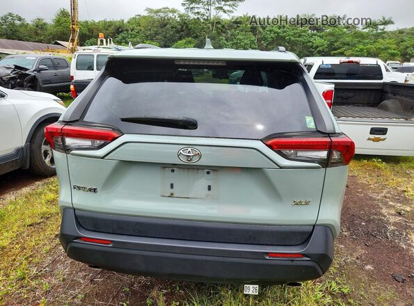 JTMW1RFV5LD059699 2020 TOYOTA RAV4 Серый Вид сзади