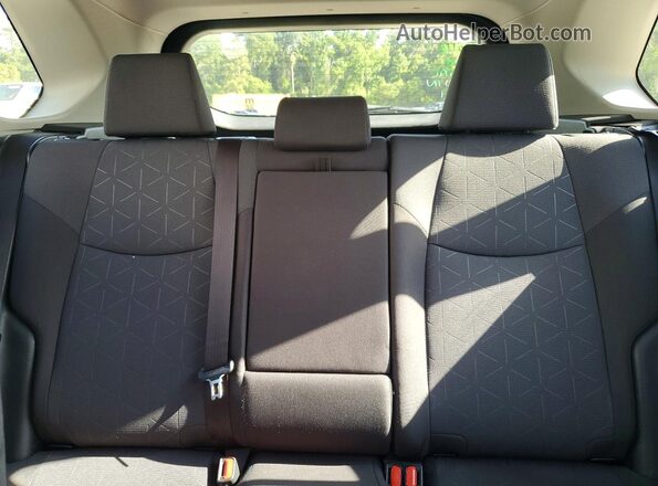 JTMW1RFV6LD043415 2020 TOYOTA RAV4 Серебряный Вид задних сидений