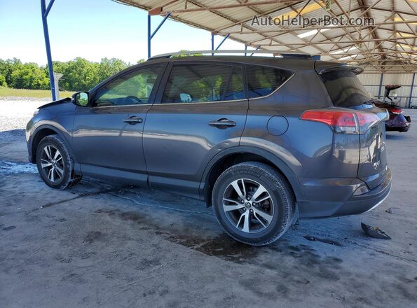 JTMWFREV2GJ094520 2016 TOYOTA RAV4 Gray უკანა მარცხენა
