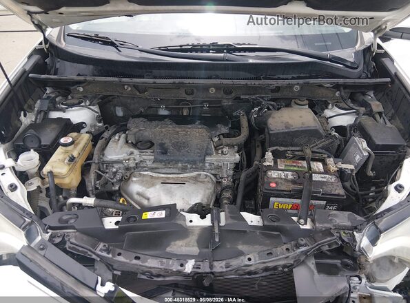 JTMWFREV5JJ202295 2018 TOYOTA RAV4 White Հետևի տեսք