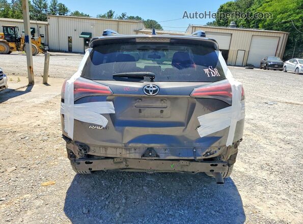 JTMWFREV7HD096568 2017 TOYOTA RAV4 Gray Вид ззаду