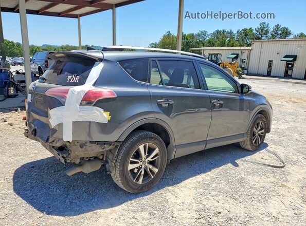 JTMWFREV7HD096568 2017 TOYOTA RAV4 Gray Задня права чверть