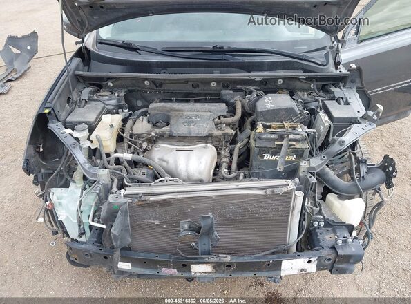 JTMWFREV8GD091796 2016 TOYOTA RAV4 Gray Widok z tyłu