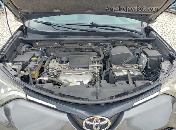 JTMWFREVXGD083019 2016 TOYOTA RAV4 Gray 