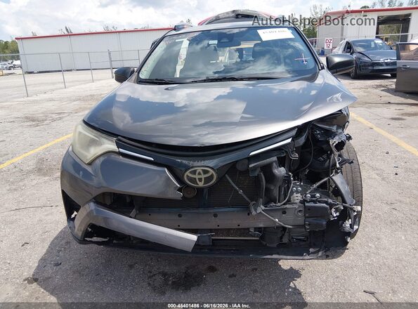 JTMZFREV2HJ106678 2017 TOYOTA RAV4 Gray Սալոնի հետևի տեսք