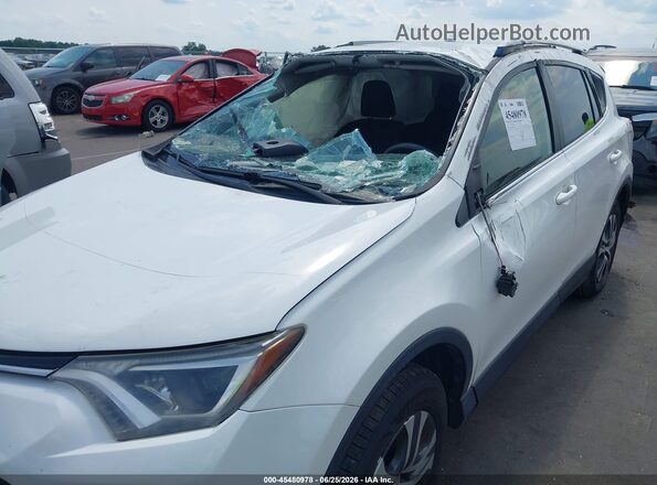 JTMZFREV6HJ709570 2017 TOYOTA RAV4 Белый Вид спереди