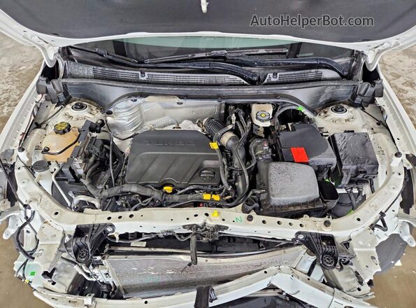 KL47LBE23RB100164 2024 BUICK OTHER Белый Вид задней части салона