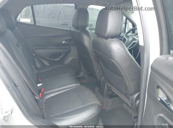 KL4CJASB5HB109319 2017 BUICK ENCORE Silver Вид наклейки з VIN-кодом