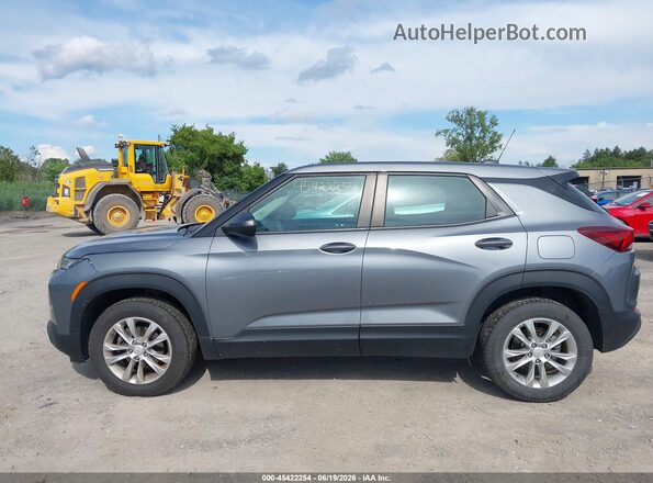 KL79MNSL9MB176584 2021 CHEVROLET TRAILBLAZER Серый Панорамный вид салона 360°
