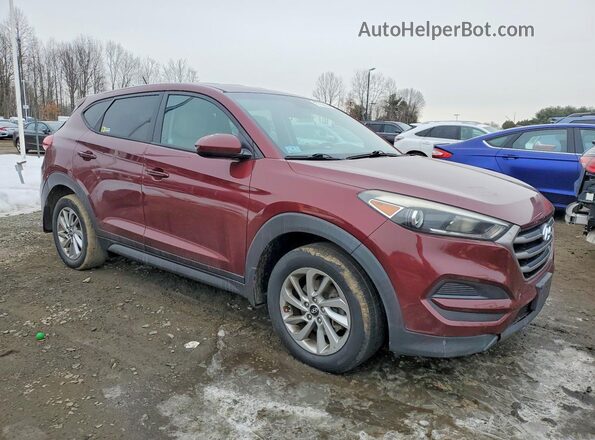 KM8J23A41GU032679 2016 HYUNDAI TUCSON Red წინა მარჯვენა