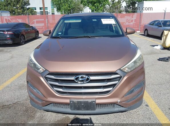 KM8J23A49GU098901 2016 HYUNDAI TUCSON Brown Սալոնի հետևի տեսք