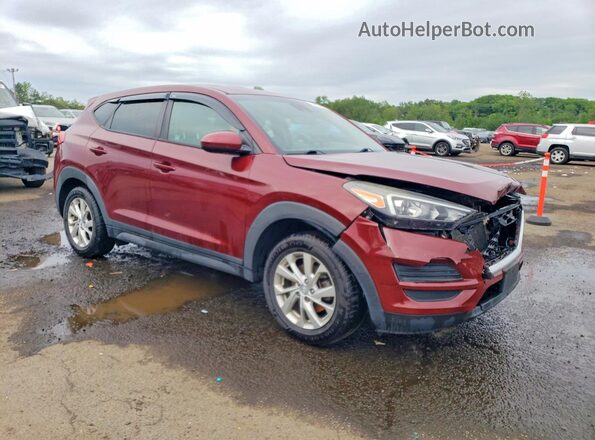 KM8J2CA40KU979172 2019 HYUNDAI TUCSON Burgundy 