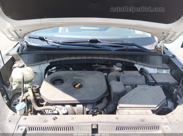 KM8J2CA41KU964194 2019 HYUNDAI TUCSON White Widok z tyłu