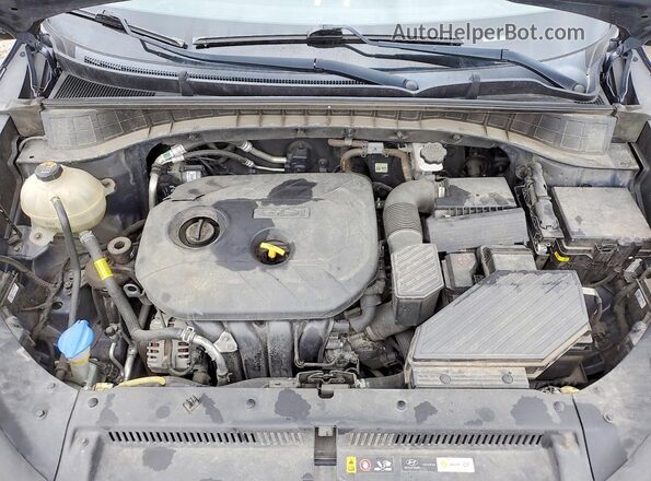 KM8J2CA41LU170104 2020 HYUNDAI TUCSON Blue Rear interior view