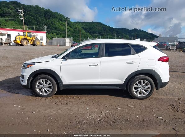 KM8J2CA48MU344736 2021 HYUNDAI TUCSON White 