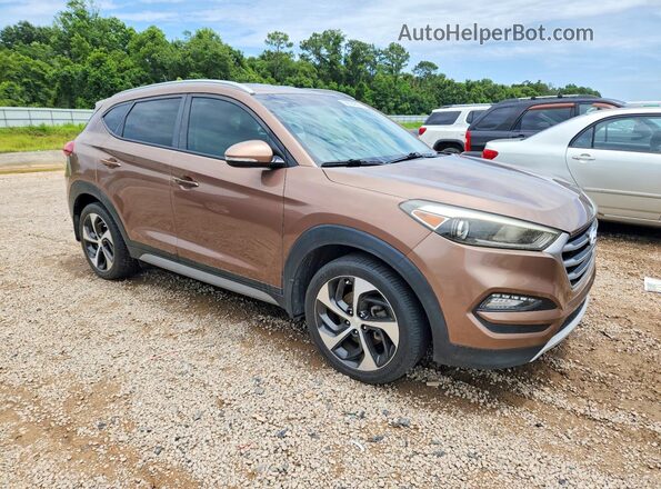 KM8J33A26HU367689 2017 HYUNDAI TUCSON Brown 