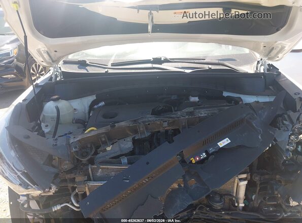 KM8J33AL9LU181632 2020 HYUNDAI TUCSON Белый Вид сзади
