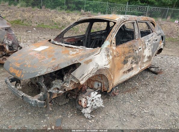 KM8J3CA42HU586182 2017 HYUNDAI TUCSON Белый Вид спереди