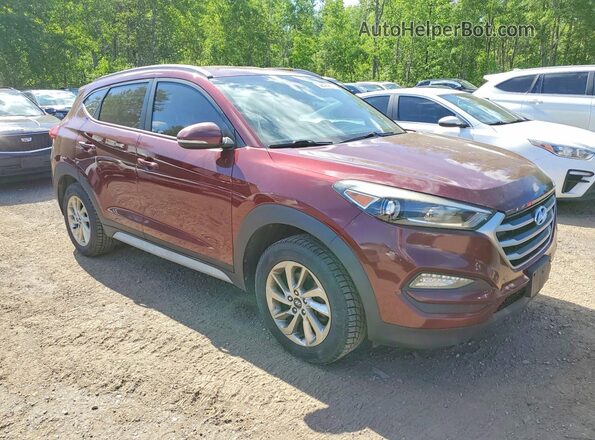KM8J3CA44HU489985 2017 HYUNDAI TUCSON Brown Front right