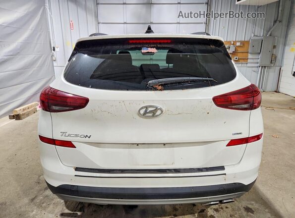 KM8J3CAL4LU160106 2020 HYUNDAI TUCSON Белый Вид сзади