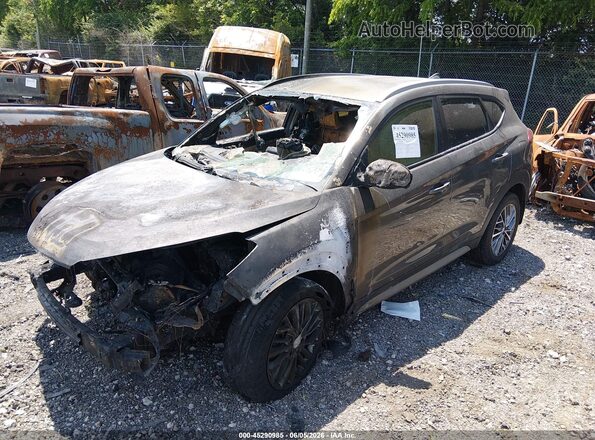 KM8J3CAL8LU186904 2020 HYUNDAI TUCSON Gray Vista frontal