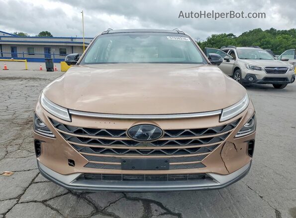 KM8J84A66LU008510 2020 HYUNDAI NEXO Brown Front view