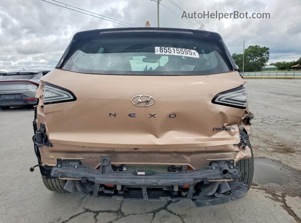 KM8J84A66LU008510 2020 HYUNDAI NEXO Brown Rear view