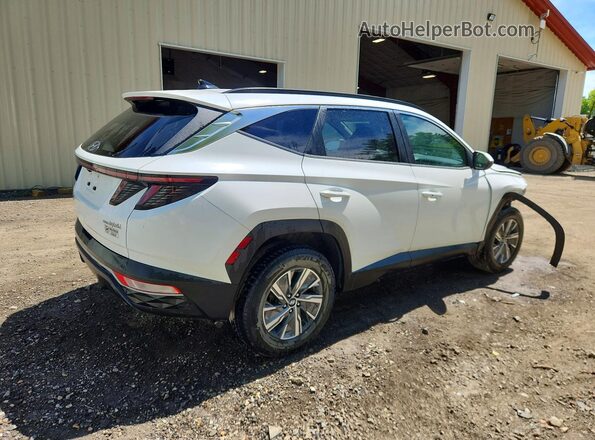 KM8JBCA15NU016777 2022 HYUNDAI TUCSON White Հետևի աջ