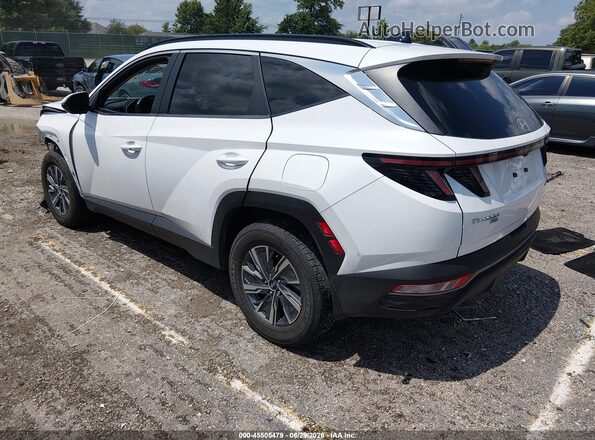KM8JBCA16NU028260 2022 HYUNDAI TUCSON HYBRID White Trasero izquierdo