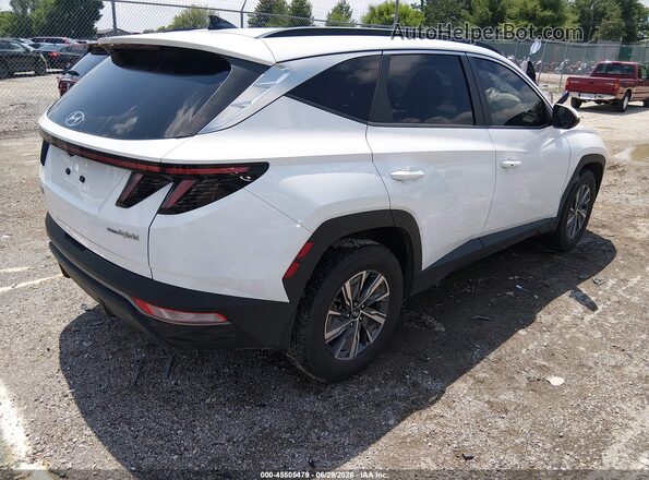 KM8JBCA16NU028260 2022 HYUNDAI TUCSON HYBRID White Trasero derecho