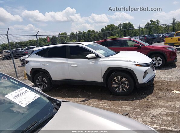 KM8JBCA16NU028260 2022 HYUNDAI TUCSON HYBRID White Vista interior trasera
