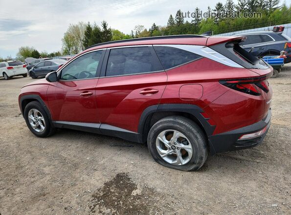 KM8JBCAE3PU250423 2023 HYUNDAI TUCSON Red Rear left