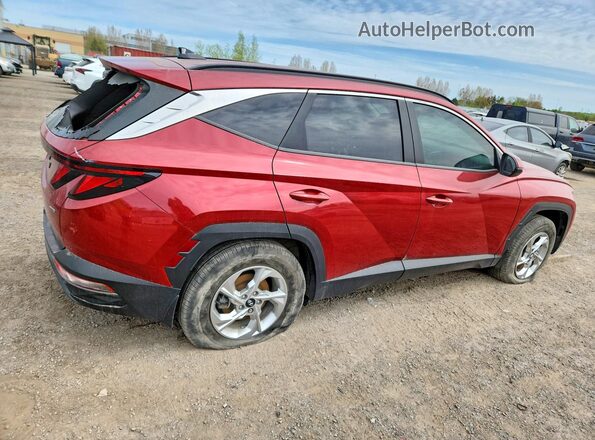 KM8JBCAE3PU250423 2023 HYUNDAI TUCSON Red Rear right