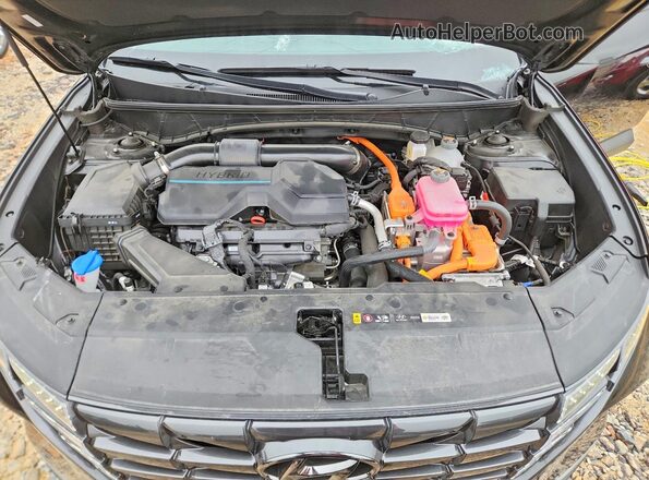KM8JBCD14RU244979 2024 HYUNDAI TUCSON Черный Вид задней части салона