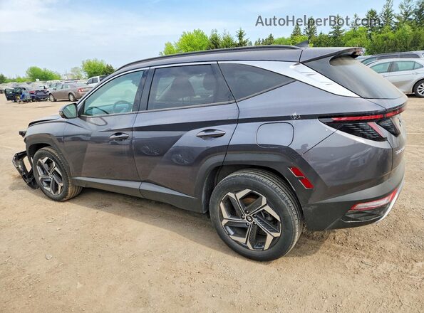 KM8JCCA12PU132471 2023 HYUNDAI TUCSON Gray Rear left
