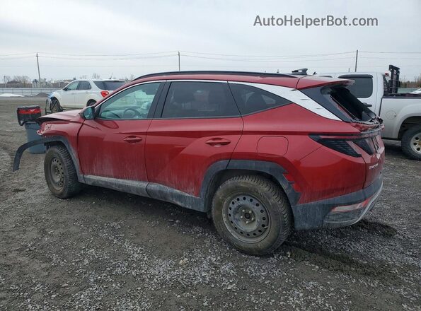KM8JCCA1XPU097159 2023 HYUNDAI TUCSON Red 