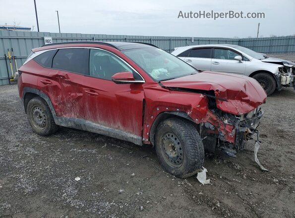 KM8JCCA1XPU097159 2023 HYUNDAI TUCSON Red 