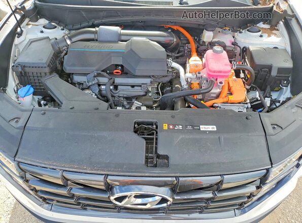 KM8JCCD16RU171305 2024 HYUNDAI TUCSON White უკანა სალონის ხედი