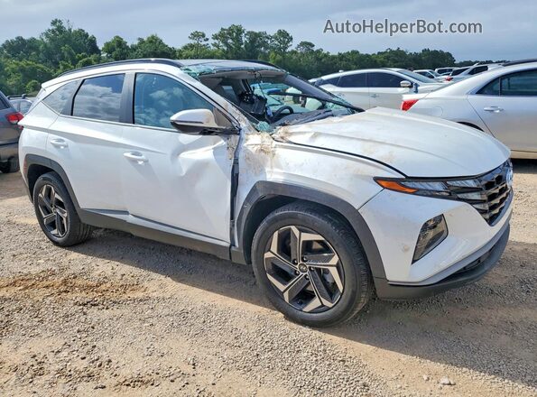 KM8JCCD16RU171305 2024 HYUNDAI TUCSON White წინა მარჯვენა