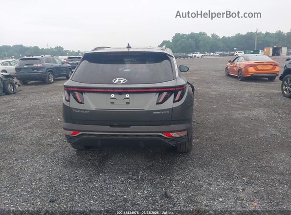 KM8JCCD19RU227950 2024 HYUNDAI TUCSON HYBRID Gray 