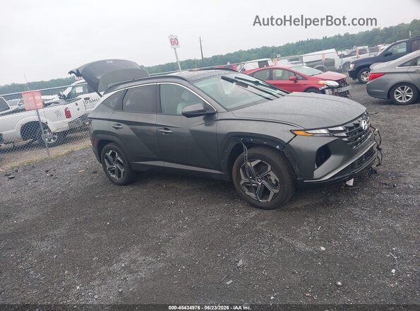 KM8JCCD19RU227950 2024 HYUNDAI TUCSON HYBRID Gray უკანა სალონის ხედი