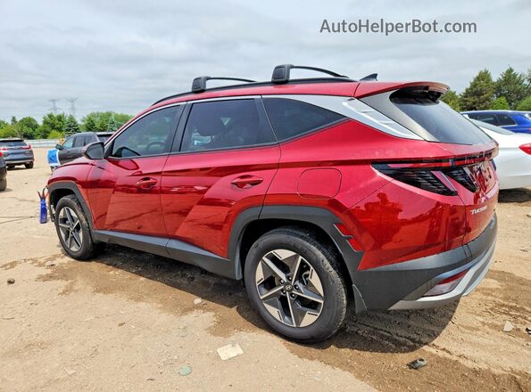 KM8JCDD10SU295131 2025 HYUNDAI TUCSON Red Tył lewy