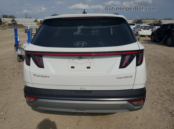 KM8JCDD10SU296232 2025 HYUNDAI TUCSON White Widok z tyłu