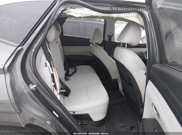 KM8JCDD14SU256848 2025 HYUNDAI TUCSON HYBRID Gray Вид наклейки з VIN-кодом