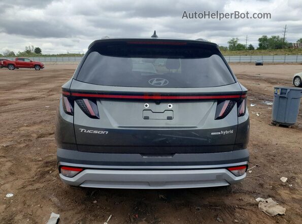 KM8JCDD17SU392276 2025 HYUNDAI TUCSON Charcoal 