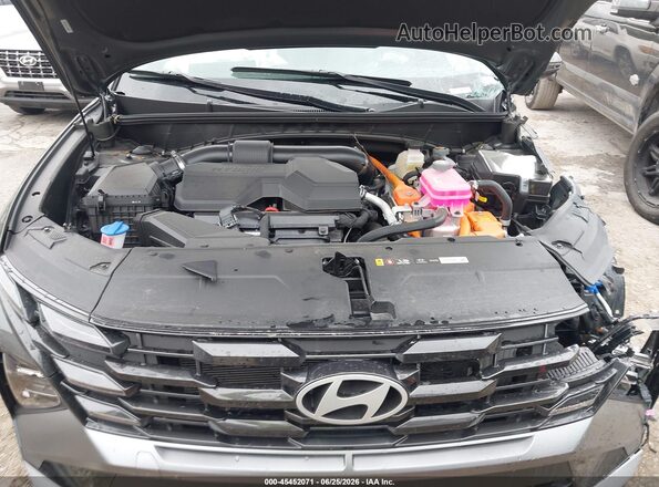 KM8JCDD17TU450078 2026 HYUNDAI TUCSON HYBRID Gray Widok z tyłu